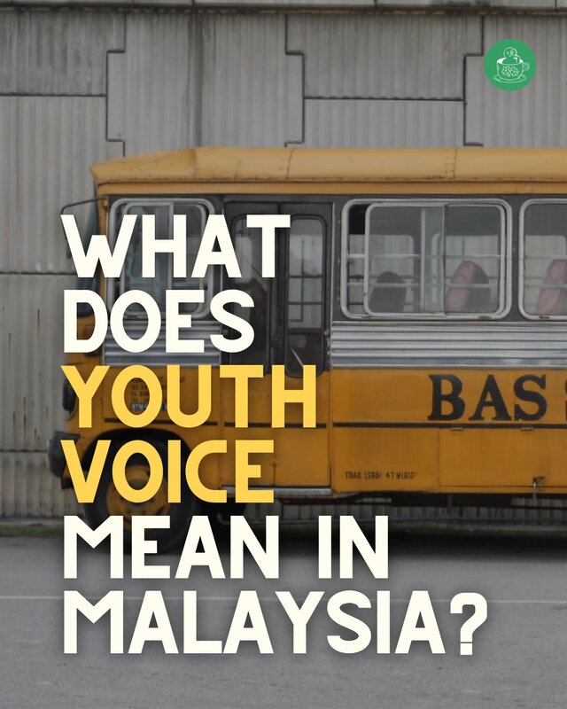 What does youth voice mean in Malaysia?